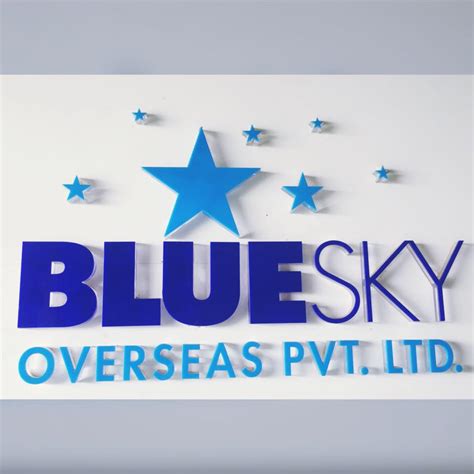 bluesky overseas pvt. ltd. reviews